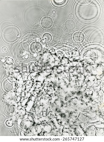 Water pattern, these patterns are initially created in the darkroom capturing natural water or bubble patterns. In some cases color is added via computer post processing