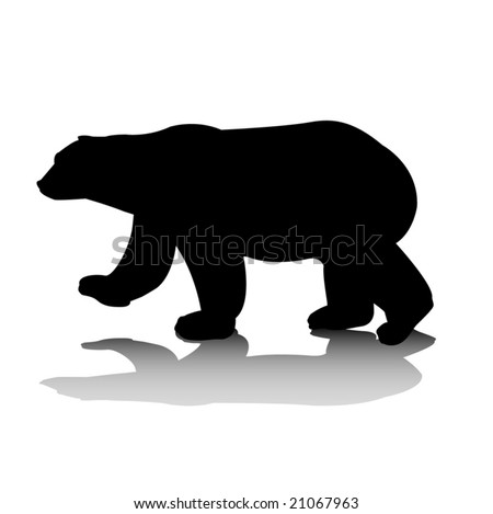 stock vector : vector illustration polar bear