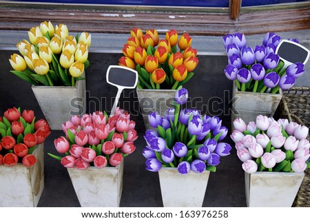 Wooden tulips in Amsterdam, Netherlands