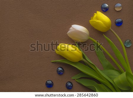 Three tulip lie at a right angle on a brown background. Blue glass stones are loose.
