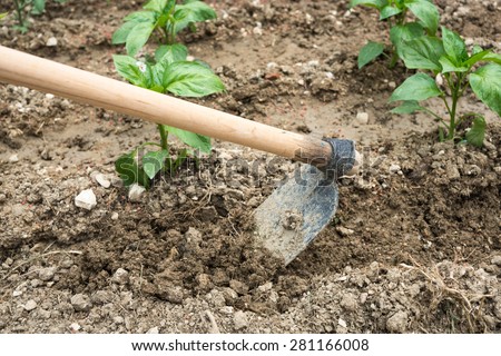 till the soil