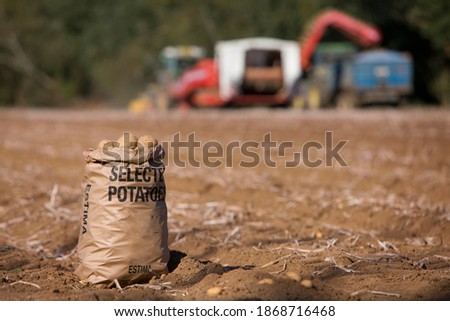 A medium shot of a sack of potatoes in a sunny rural field with tractors in background.