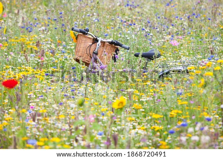 A medium shot of a bicycle in middle of a field of wildflowers.