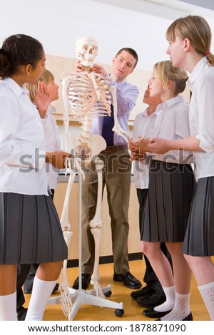 A full length vertical view of school children standing and observantly listening to biology teacher as he explains the model of a human skeleton