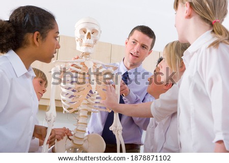 A Medium wide shot of school children observantly listening to biology teacher as he explains the model of a human skeleton in a class room