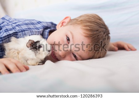 Young boy with guinea pig