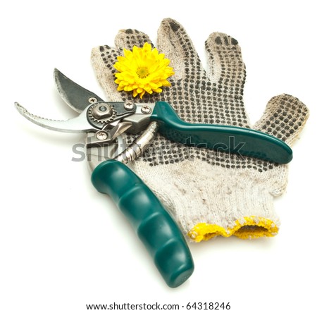 Gardening Gloves on Stock Photo   Pair Of Grubby Gardening Gloves   Shears Isolated