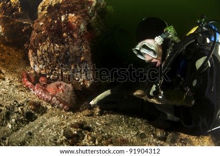 A diver tries to make friends with a octopus