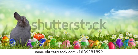 Easter background with Easter eggs and Easter bunny