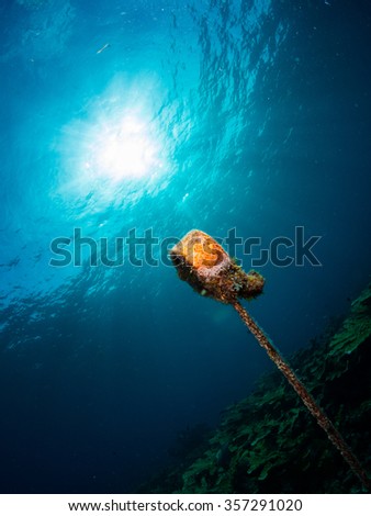 Strange float tied to a rope with the sun behind in clear blue waters in a Reef system off Isla Mujeres Cancun, Mexico