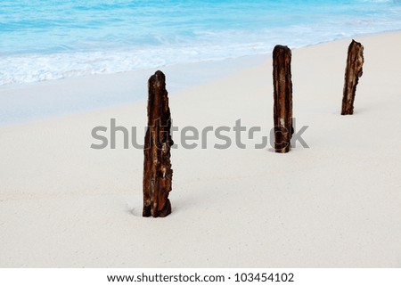 Three rusty sticks on the white beach