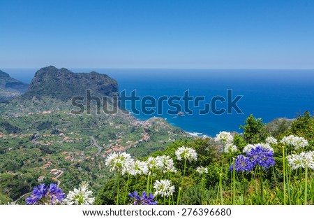 Ocean view from the Levada Ribeira Frio-Portela foreground hydrangea flowers. Madeira island, Portugal.