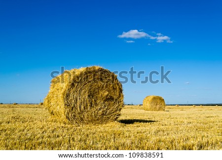 Mown wheat field, large round bales of hay, field of corn in the distance