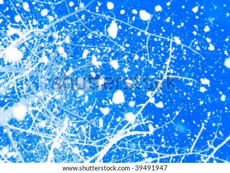 Abstract blue and white background. Falling from branches of trees a snow at night under illumination
