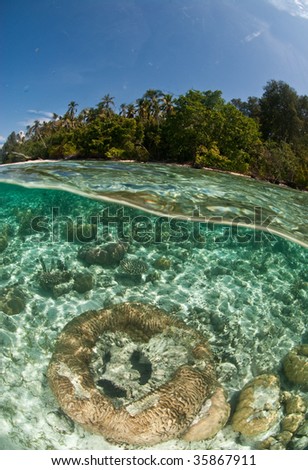 Over under shot of various corals and island, Raja Ampat, Indonesia