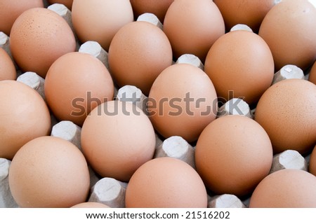 close up of egg in egg box