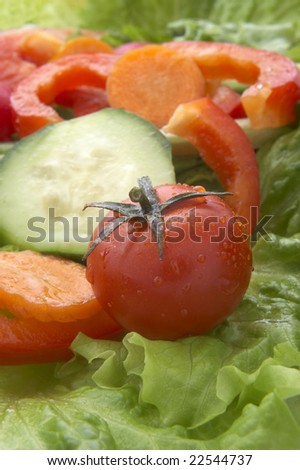 close up of  fresh seasoning salad