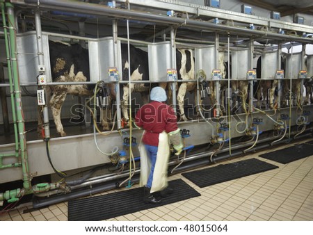 Automatic Milking