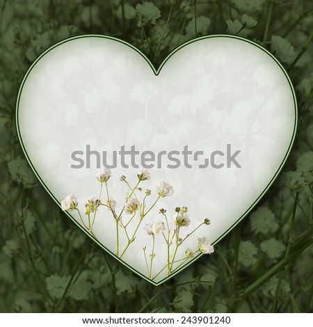 Baby\'s Breath Heart Shaped Announcement Card. A close up of Baby\'s Breath with heart shaped ghosted back copy space and colorized background.
