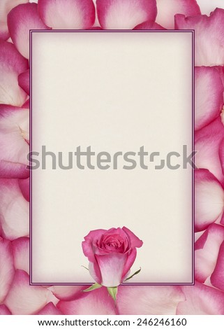 Rose Petals with Rose and Rectangle Copy Space. Red and white rose petals frame a rectangular copy space with red and white rose accent and embossed border.
