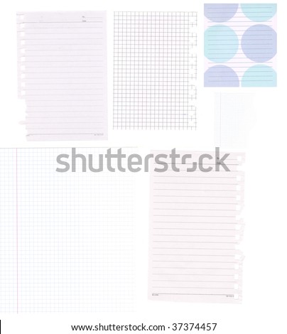sheets of paper torn up from a notebooks isolated on white background (celled paper lined paper)