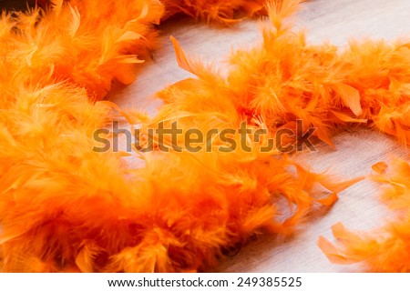 orange background whit feather boa.