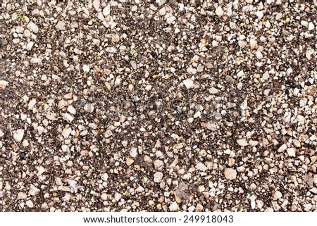 brown land and many white gravel