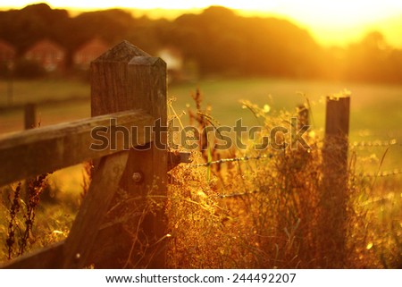 A gorgeous warm sunset in the summer with an old wooden gate and fence post
