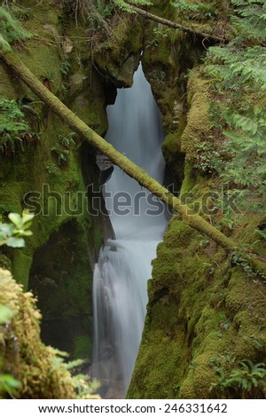 Ladder Creek Falls - North Cascades NP