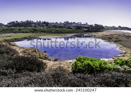 Park Hill & Santa Rosa Creek Estuary California-Central-Coast, near Cambria CA