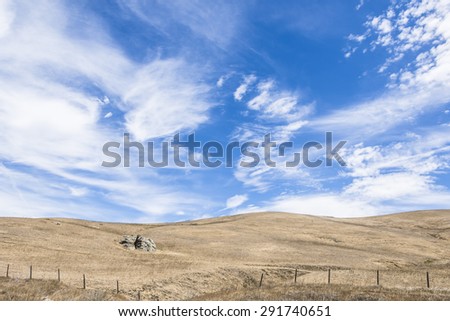 Drought stricken California golden grass, and blue sky, on the California Central Coast, near Hearst Castle and Cambria, CA.
