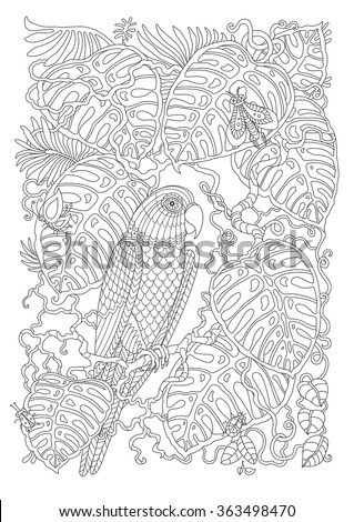 Exotic bird, fantastic tropical branch, foliage, insects.Contour thin line.Black and white.Vector fantasy stylized jungle parrot silhouette on the liana leaves.T-shirt print. Coloring book page