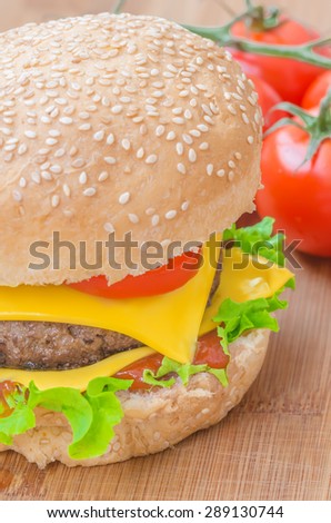 Tasty cheeseburger with lettuce, beef, double cheese and ketchup. Macro with shallow focus.
