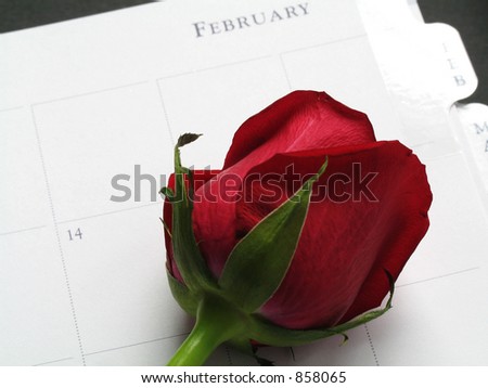 Feb 14th on a planner to mark Valentine\'s Day