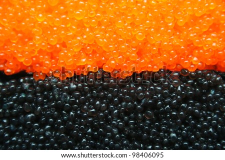 Closeup of orange and black fish roe