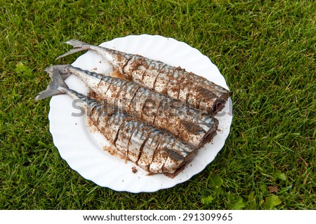 Three mackerel fish with mashed coriander on white plate on grass