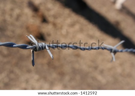 A strand of barbed wire between two fence posts.  Wire is fairly new with spider webs on it.