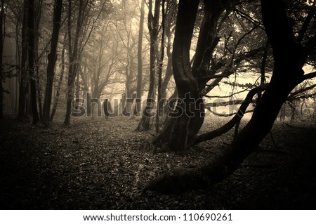 scary man with robe in dark forest sepia