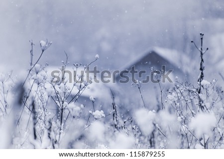 winter landscape with house and snow