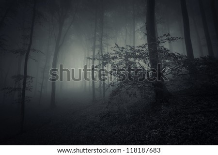 spooky forest landscape with huge tree