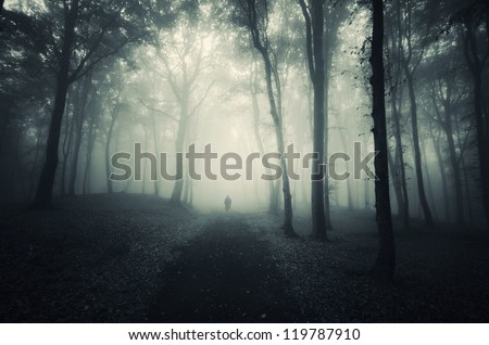 man walking on path through a dark forest