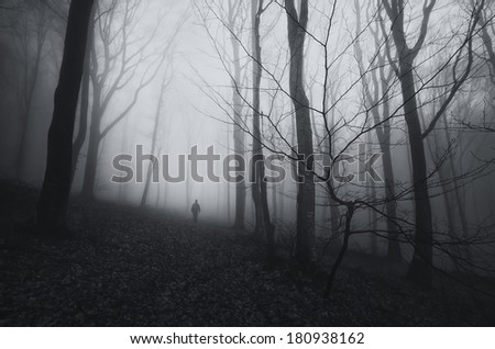 man walking in dark spooky forest with fog