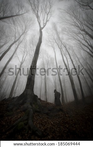 dark forest with scary man and huge old tree with twisted roots