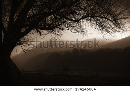 dark landscape with tree branches and hills covered in mist