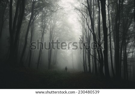 dark forest with man walking on path