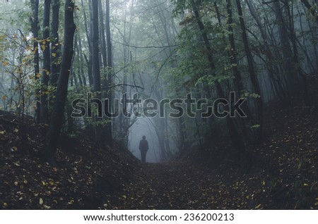mysterious forest scene with man on dark path