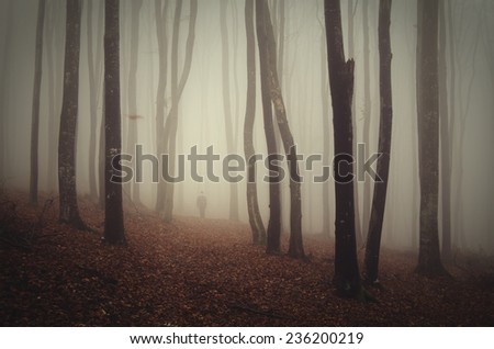 autumn forest with man on path