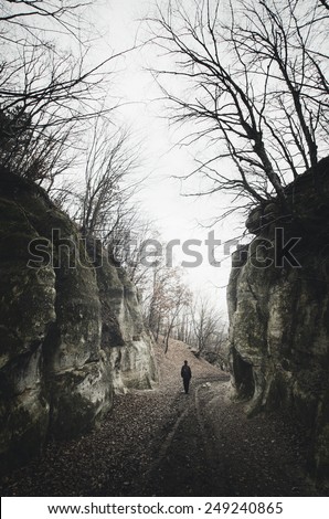 spooky scene with man on dark path between cliffs and twisted tree silhouettes