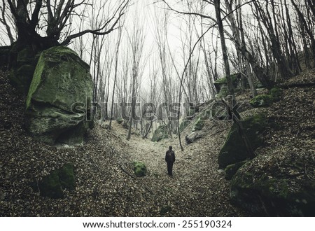 man on dark forest path with twisted trees