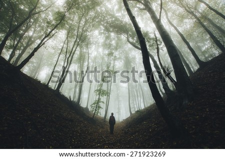 spooky forest scene with man silhouette on dark path